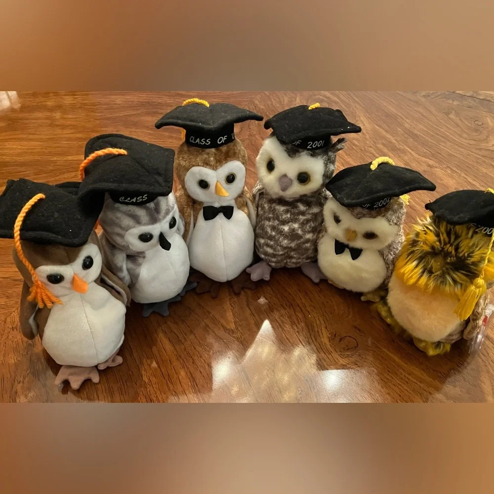 Lot of 6 graduation owls Ty Beanie Babies. Pet free and smoke free home. - Picture 8 of 8